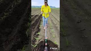 CHEAPEST FARMING TECHNIQUES farming trending viral foryou motivational