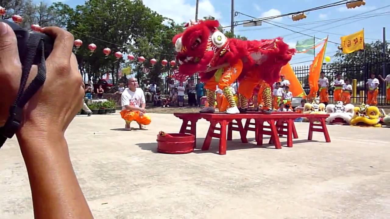 Houston TCT Lion Dance YouTube