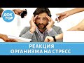 Что такое стресс и как им управлять