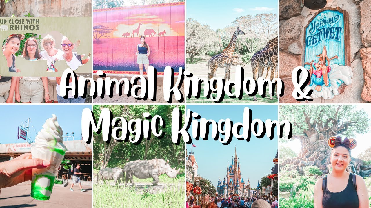 ANIMAL KINGDOM MAGIC KINGDOM UP CLOSE WITH RHINOS YAK YETI animal-kingdom-magic-kingdom-up-close-with-rhinos-yak-yeti