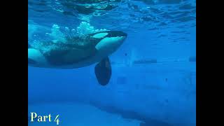 Guardian Lindsey Stirling favorite orca mep