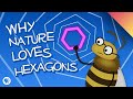 Nature and Mathematics Quiz