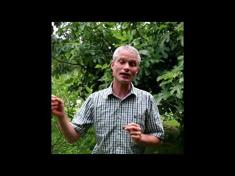 Permaculture Design Certificate — learner experience