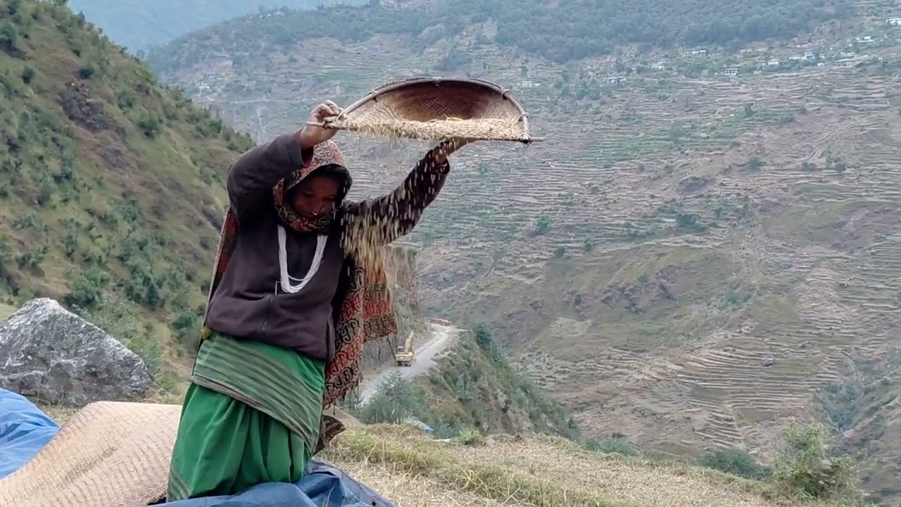 Real Life in the Nepali Mountain Village in rainy seasons l How to Living Live Nepal in Rainy day