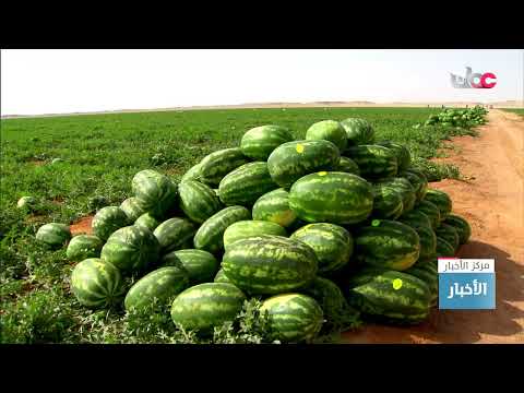 التوقيع على 30 عقد انتفاع بأراض في القطاعات الزراعية بولايات محافظة ظفار