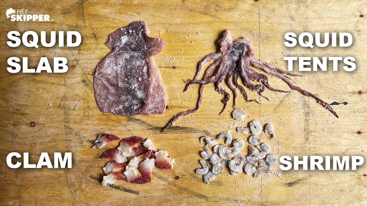 SURF FISHING W/ SALTED BAITS (Biased Review) YouTube