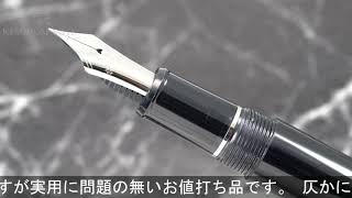 PLATINUM プラチナ 万年筆 #3776 センチュリー ロジウム ブラックダイヤモンド 軟細字