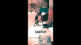 Story wa Viral!! Dance Monkey