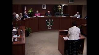 Council Recording JULY 24 2017