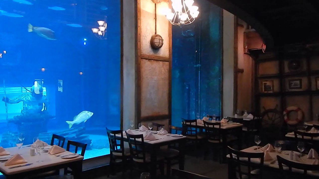 Travel Video The Cargo Hold Restaurant in Durban, South Africa