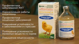 картинка: Ветоспорин-Ж Спаси цып