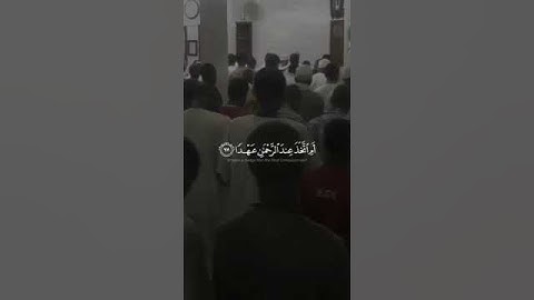 سورة مريم الآية (77-80) - محمد الهادي #القرآن_الكريم#تلاوة_خاشعة #اجر_لي_ولك #سورة_مريم #محمد_الهادي