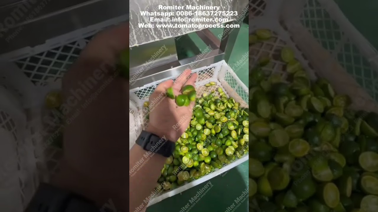 Multi-Channel Cherry Tomato Half Cutting Machine