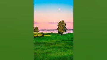 دعاء سيدنا موسى لربه..تلاوة مباركة للقارئ الشيخ وليد الأزهرى..