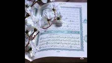 القران الكريم القارئ ماهر المعيقلي القران الكريم راحة نفسية اكتب شي تؤجر عليه 🪶