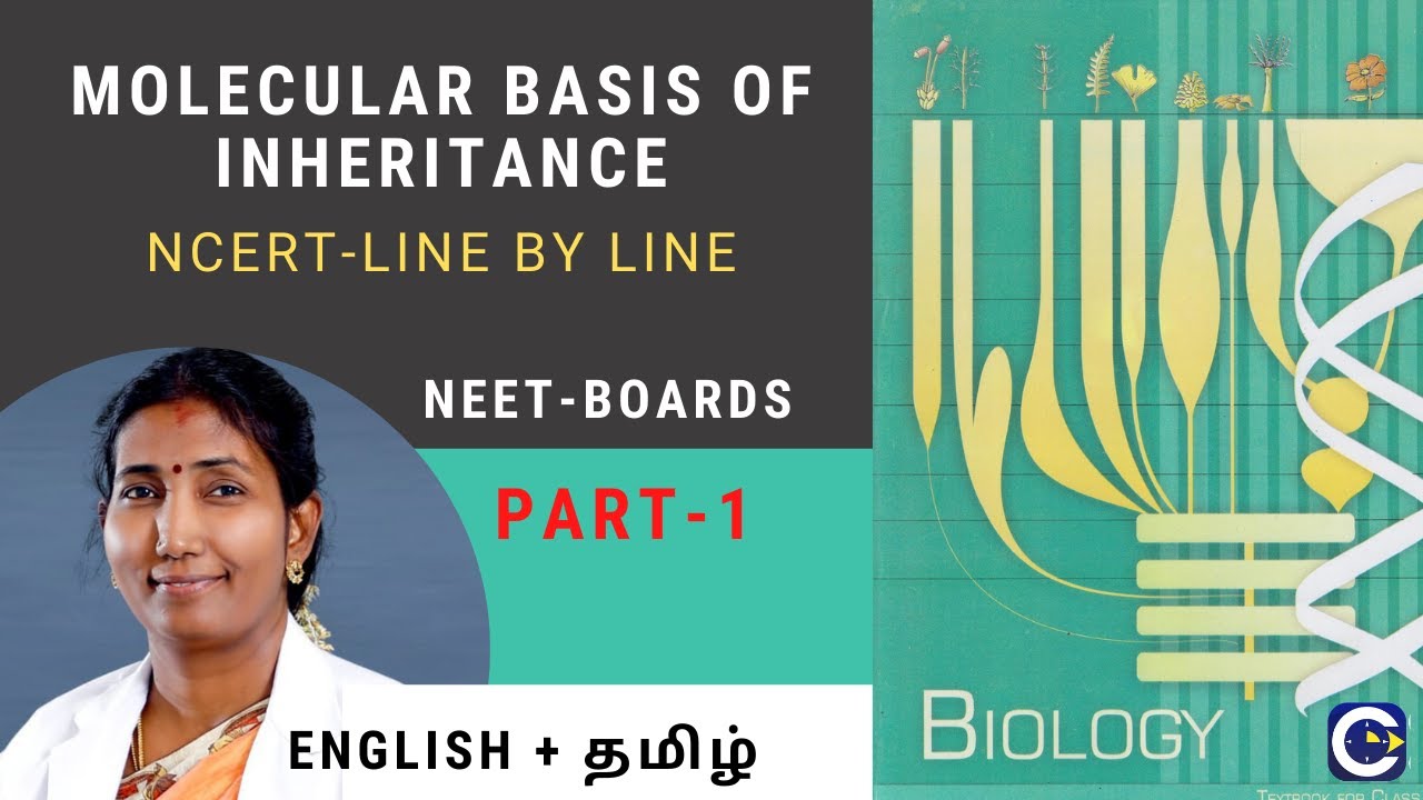 Molecular Basis of Inheritance-NCERT As It Is-Part 1