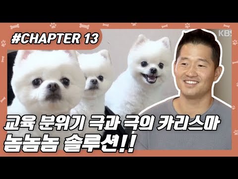 개통령 강형욱의 신통 <strong>방통</strong> 솔루션!! [개는 훌륭하다]