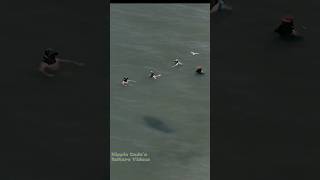 A group of people at the beach in Florida on Memorial Day realize there's a manatee swimming by them