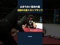 止まらない猛攻の嵐_伝説の4連ドロップキック