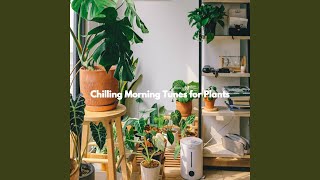 Mellow Ambience for Brave Keynotes