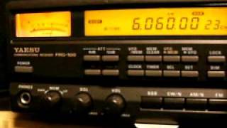 DSCF0803.AVI