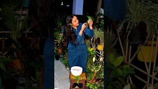 Kamchor logo ke bachhe khud jeena seekh jaate hain❌🌿Toxic plant parent update🌱✨#gardening #garden
