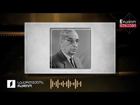 მიკროფონთანაა ნიკო მუსხელიშვილი