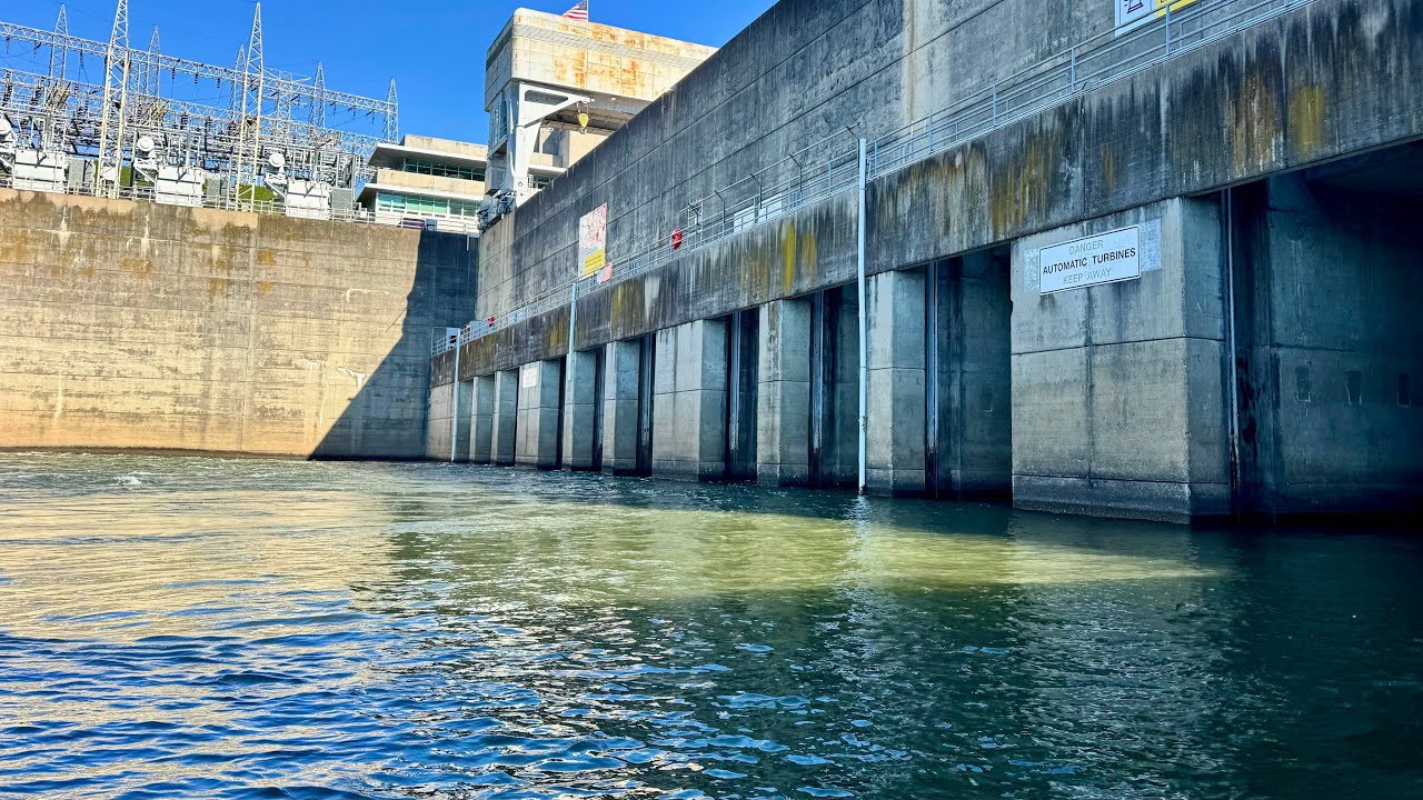 big Tennessee Dam Striped Bass and Catfish Were Hungry!! Intense Early Morning Action!!