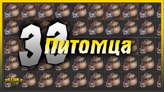 картинка: 33 Пушистых друга в Грим Соул | Grim Soul: Dark Fantasy Survival