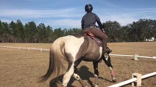 RRP Application 2021-Rachel Goff