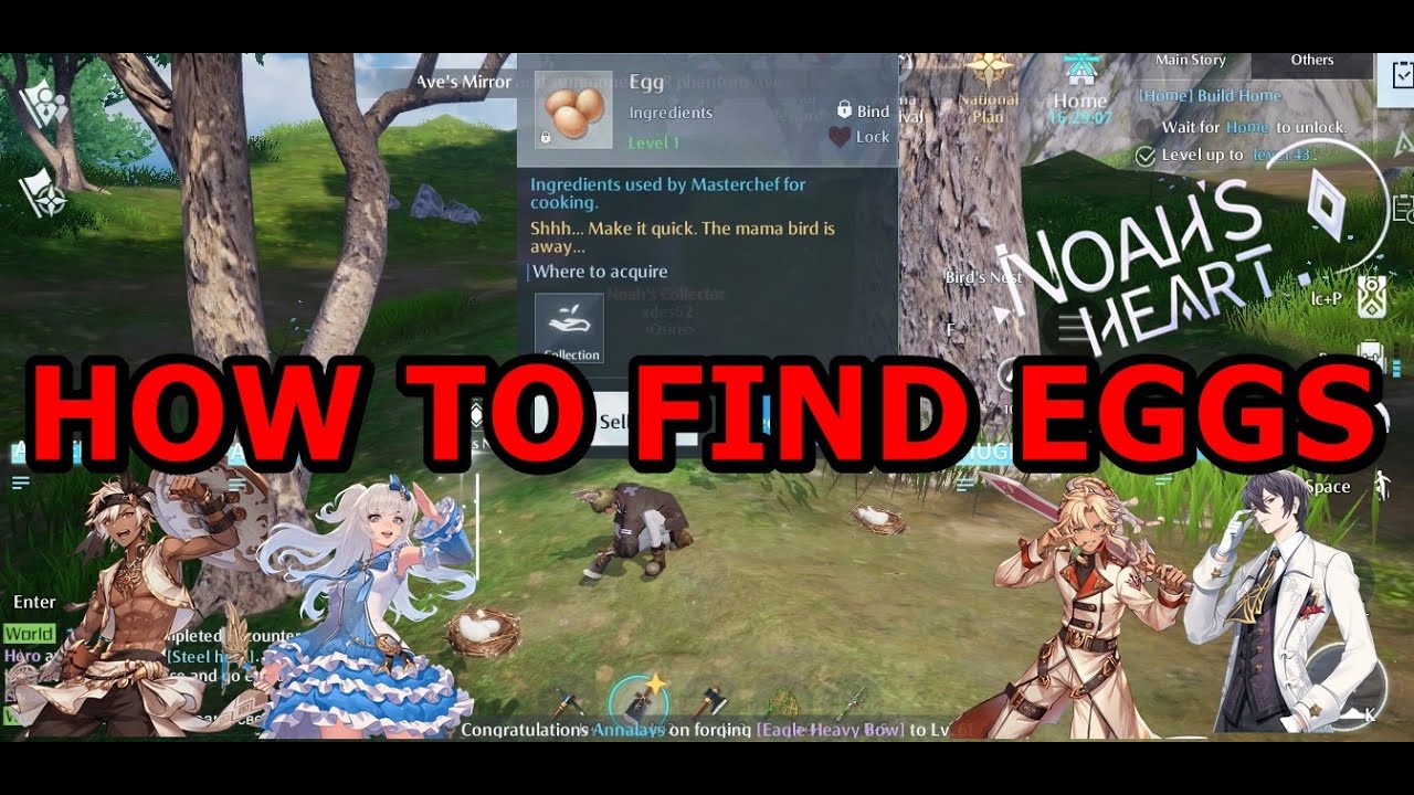 NOAH'S HEART : HOW TO FIND EGGS