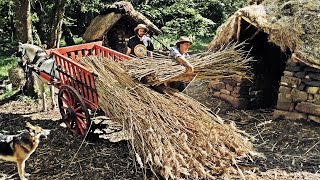 IRON AGE BUSHCRAFT BUILD with Horse & Hand-tools | Reed Thatching Starts! (Ep.14) by Smooth Gefixt 71,298 views 2 years ago 27 minutes