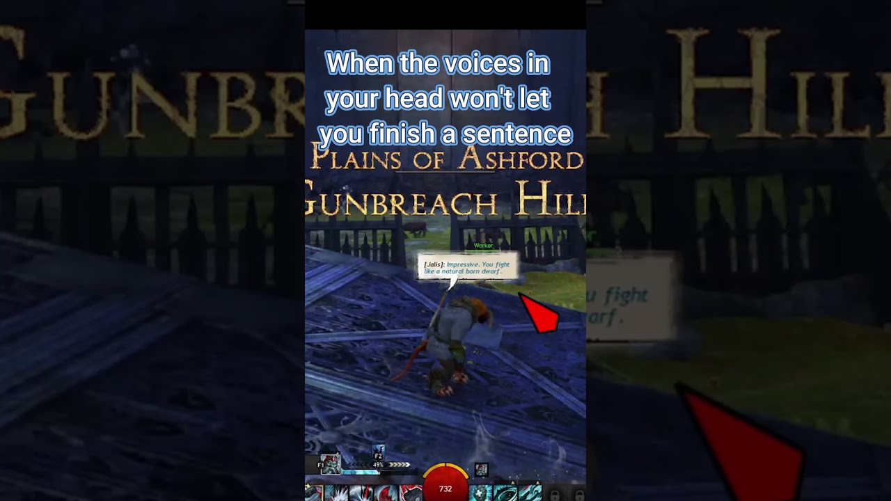 The Voices in My Head  #gaming#guildwars#guildwars2