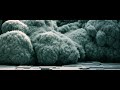 FumeFX Billowing Smoke