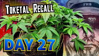 Tuck Those Leaves! - Mephisto Toketal Recall : Uncut | Day 27