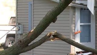 Lansing neighbors assess storm damage, raise concerns about aging trees