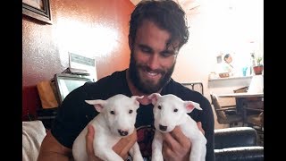 Calum Von Moger Puppy Starter Kit