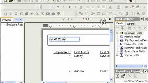 Crystal Reports Tutorial Previewing a Report-10 Business Objects Training Lesson 3.8