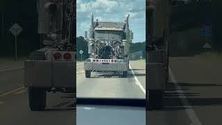 Celebrity Looks like something is missing idk what🤔🤔#automobile #broken #hmm #slay Net Worth