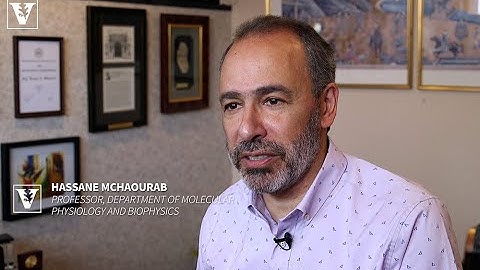 Mchaourab Full Interview - Protein Dynamics