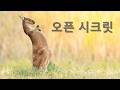 깨달음은 "동기부재" 일 때 일어난다... 오픈 시크릿 2