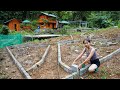 Build a vegetable garden, repair a farm - build a farm