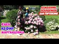 3 лучших домашних подкормки для ГОРТЕНЗИЙ! Вы сделаете их сразу после просмотра!