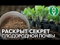 ОТКРОЙТЕ НОВУЮ ФОРМУЛУ ПЛОДОРОДНОЙ ПОЧВЫ И ЗДОРОВОЙ РАССАДЫ!