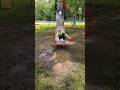 What Happened After He Jumped Will Shock😱#shorts
