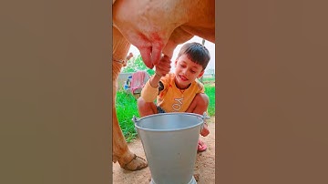 Thumbnail of small girl #song #love #funny gfhbh