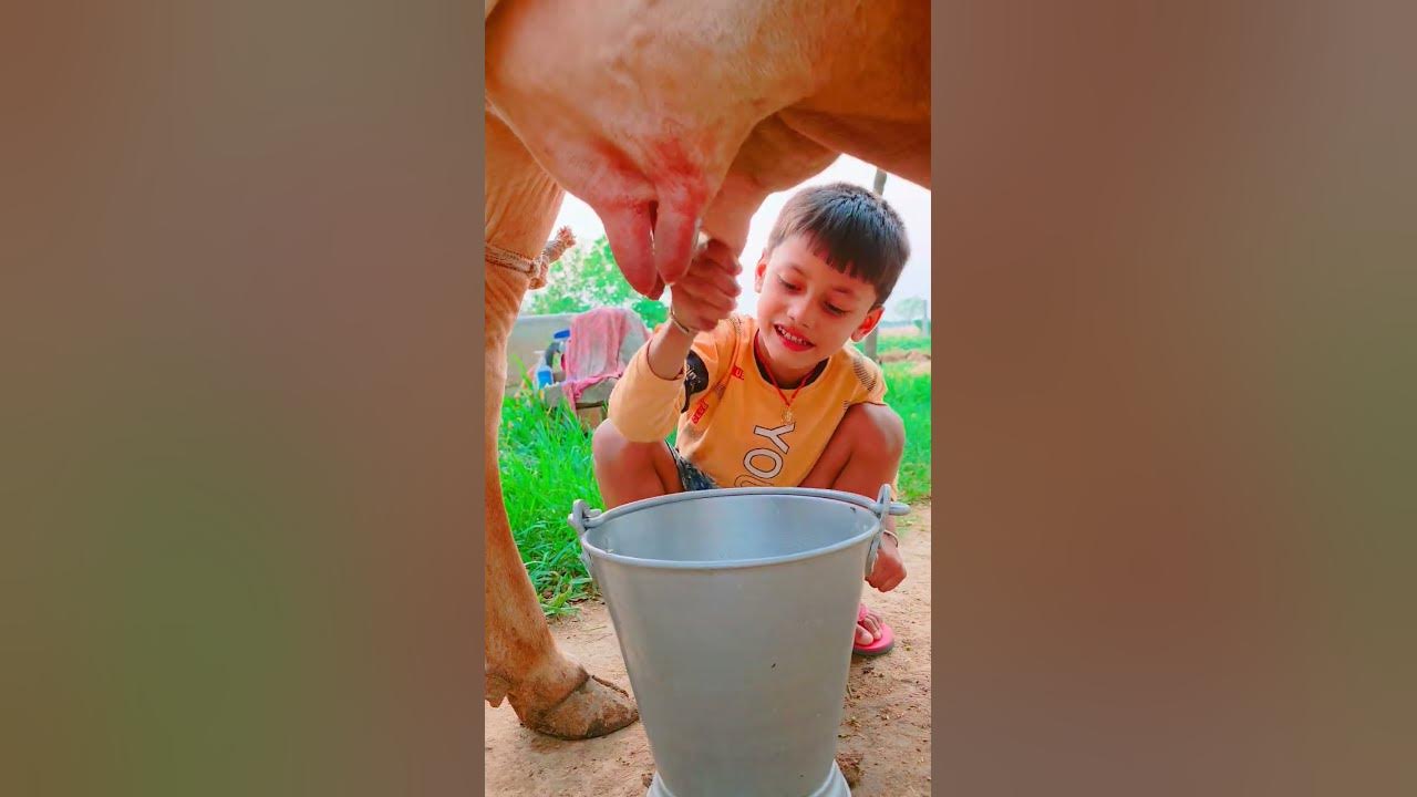 choti choti gaiya #song #love #funny gfhbh