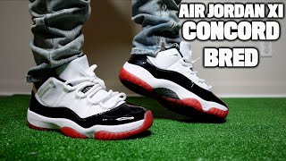 jordan 11 concord bred on feet