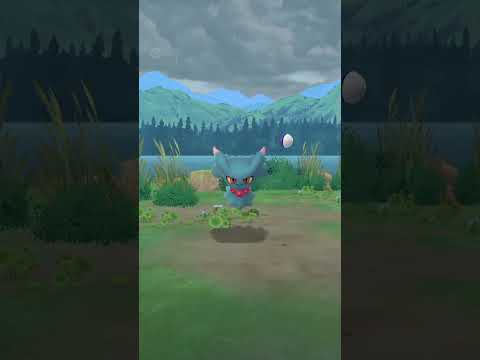 DIA 26: PRIMERA CAPTURA DEL DIA EN POKÉMON GO #pokemon