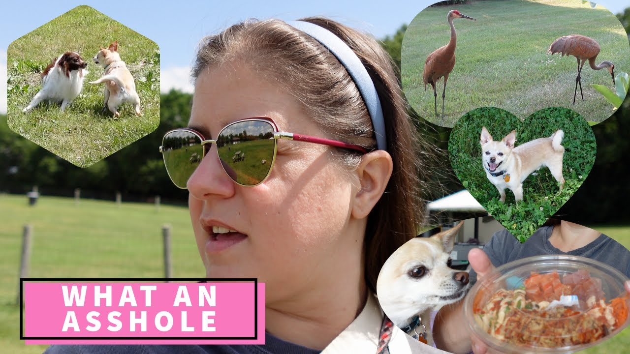 MRI & Skyrizi Results and Difficult Self Reflection at the Dog Park | Poke Bowl and Lottery Tickets